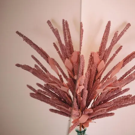 Agorà Casa de Férias Terrasini